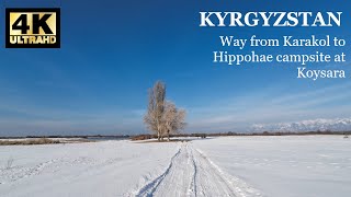 Way from Karakol to Hippohae campsite at Koysara 4K [upl. by Halik896]