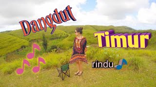 Lagu dangdut terpopuler timur quotRinduquot🎵🎵 [upl. by Arlo]