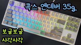 보글보글♬ 콕스 엔데버 35g 노뿌무접점 키보드리뷰  Cox ENDEAVOUR TKL RGB 35g [upl. by Adyan784]