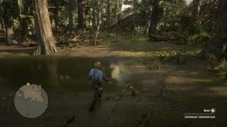 RDR2 legendary longnose gar fish location and how to catch [upl. by Esinrahc]