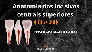 Características dos incisivos centrais superiores l ANATOMIA DENTAL [upl. by Iral]