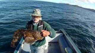 Cabezon Lingcod North Reef Newport Oregon [upl. by Nadeen146]