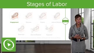 Stages of Labor Stages 1 2 amp 3 of Normal Labor – Obstetrics  Lecturio [upl. by Fisk931]