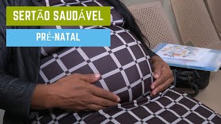 Sertão Saudável Prénatal [upl. by Repotsirhc]