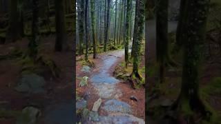 Hiking Mt Mitchell NC [upl. by Shaylyn]