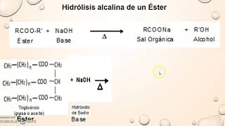 Reacción de Esterificación e Hidrólisis de un Éster [upl. by Ruth]