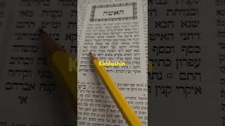 Gemara  study study study [upl. by Junius530]