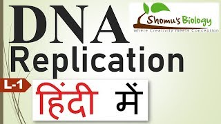 DNA replication in hindi [upl. by Aitnauq34]