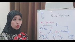 NUCLEOPROTEIN Metabolism Session 1 NUCLEOPROTEIN [upl. by Whit]