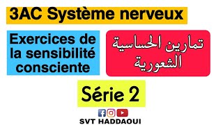 3AC la sensibilité consciente  Série dexercices 2 svt 3ac college maroc svthaddaoui [upl. by Nosmoht]