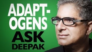 What Are Adaptogens Ask Deepak Chopra [upl. by Yager]