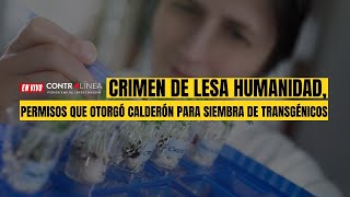 En Vivo  Crimen de lesa humanidad permisos que otorgó Calderón para siembra de transgénicos [upl. by Aracal]