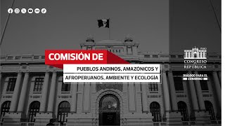 Comisión de Pueblos Andinos Amazónicos y Afroperuanos Ambiente y Ecología [upl. by Vig]