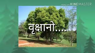 निसर्ग राजा ऐक सांगतेमराठी भावगीत [upl. by Laith652]