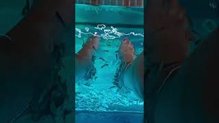 Spa Fish Sa Coma Mallorca [upl. by Derraj]