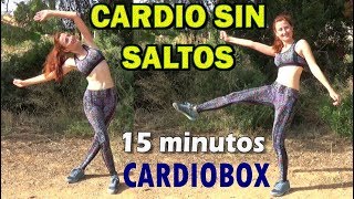 Cardio para Quemar muchas Muchas Calorías y Grasa  Sin Saltos Bajo Impacto [upl. by Weyermann]