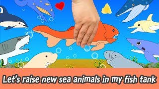 EN Let’s raise new sea animals in my fish tank animals animation for kids animal namesㅣCoCosToy [upl. by Rogergcam744]