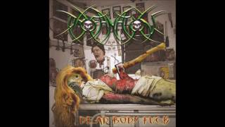 Profanation  Dead Body Fuck 2005 Full Album HQ Deathgrind [upl. by Demetrius]