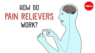 How Do Pain Relievers Work  George Zaidan [upl. by Hum]