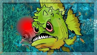 Piranha Attack Atak Pirani [upl. by Morrie]