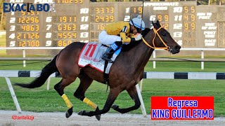 Regresa KING GUILLERMO en tarde de clásicos en Gulfstream Park [upl. by Cavil]