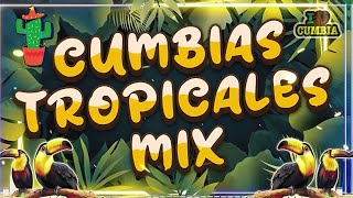 CUMBIAS TROPICALES 2024 DEL ANO🌴🌟CUMBIAS VIEJITAS PERO BONITAS PARA BAILAR🎉🌻LOS KARKIKS EL NEGRO 29 [upl. by Welker44]