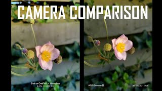 OnePlus 9 Pro vs Asus Zenfone 8 Camera comparison [upl. by Eustashe19]