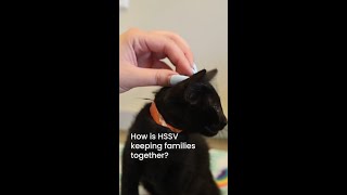 How HSSV is keeping families together [upl. by Marino]