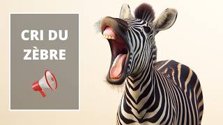 Cri du Zèbre  Le Zèbre qui Hennit  Cry of the zebra 🦓🔊 [upl. by Annaeed]