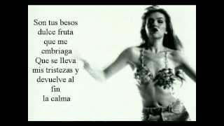 Thalía Piel Morena lyrics [upl. by Ainafets615]