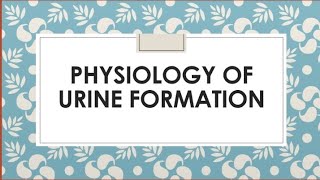 Urine Formation  Physiology Of Excretion  Urine Formation Process [upl. by Sosthina]