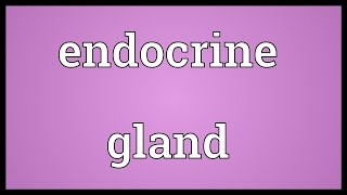 Endocrine gland Meaning [upl. by Girvin]