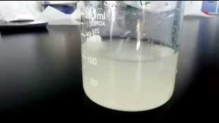 Solubility demonstration for Chondroitin sulfate plus glucosamine Mix Powder for Joint health [upl. by Analahs]