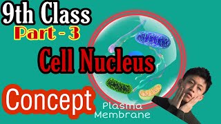 Class9th CELL Nucleus Concept DNA Chromosome Functions of Nucleus Explained by Piyush Jain Sir [upl. by Peterson]