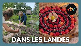 Paysans dAujourdhui dans les Landes  Les Carnets de Julie [upl. by Antonio]