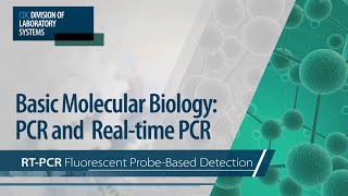 RTPCR vs Rapid Antigen Test [upl. by Roque]