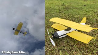 Amazing… How to make a 3D airplane kite from bamboo [upl. by Riella]