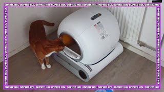 REVIEW ZEDAR K900 AUTOMATISCHE KATTENBAK  Sophie Hol  2023 [upl. by Eido]