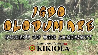 A TRIP TO IGBO OLODUMARE  Forest of the Almighty [upl. by Lorette]