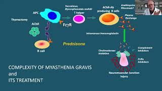 Management of autoimmune disorders in patients with thymic epithelial tumors [upl. by Rosette803]