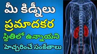 Kidney Infection Symptoms in Telugu  Signs and Symptoms of Kidney Infection Telugu [upl. by Akiret275]