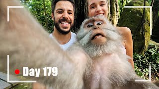 Monkey Takes a Selfie with Tourists in Bali Indonesia [upl. by Renwick]