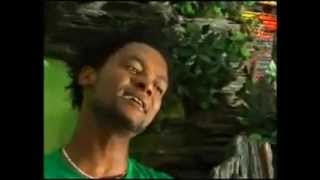 Abbush Zallaqaa Itti Herregee Oromo Music [upl. by Atteloj152]