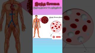 top10 Signs and Symptoms of Anemia in tamilhealth tipsshortvideo subscribe [upl. by Arres]