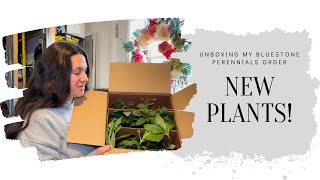 Unboxing my Bluestone Perennials live plants order  April Garden VLOG [upl. by Ehtylb]