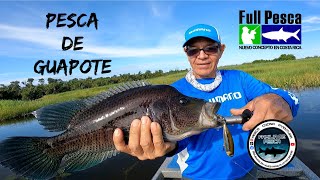 Pesca de GUAPOTES en San Juan de Nicaragua [upl. by Otho]