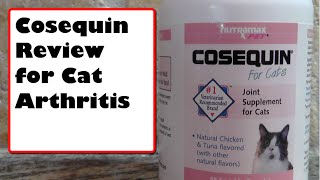 COSEQUIN REVIEW FOR CAT ARTHRITIS [upl. by Wadleigh313]