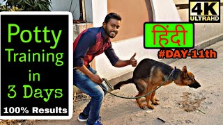 Easy way to Potty Train your Puppy or Dog in HINDI 4K  Smart Dog Training [upl. by Hoffarth]