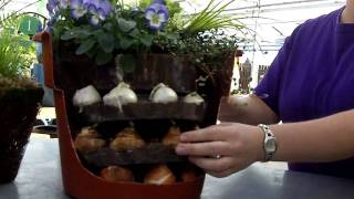 Planting Tips for Bulbs in a Container [upl. by Mandler749]