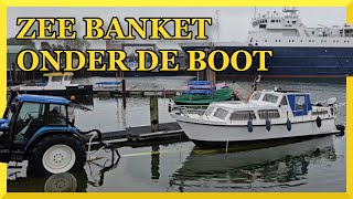 SAILING LOKI  SCHOKKENDE ONTDEKKING ONDER DE BOOT [upl. by Rosse]